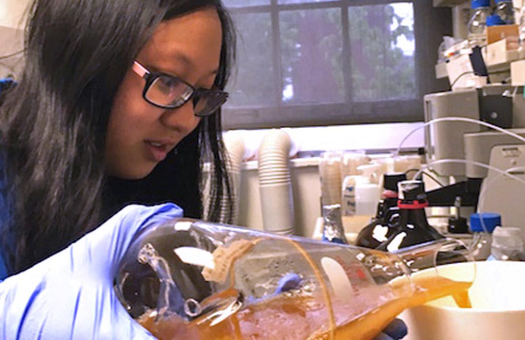 Katie Chen pouring chemicals in lab