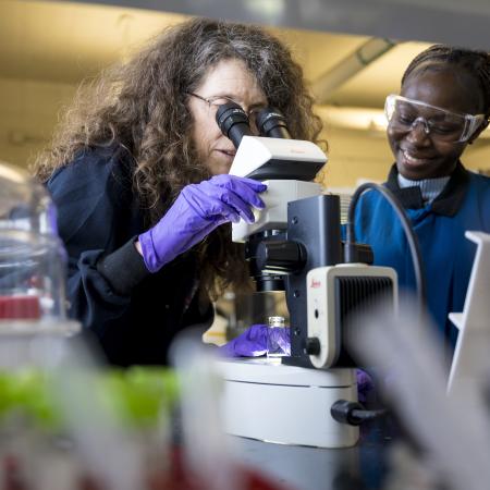Two women in a laboratory look at a microscope.