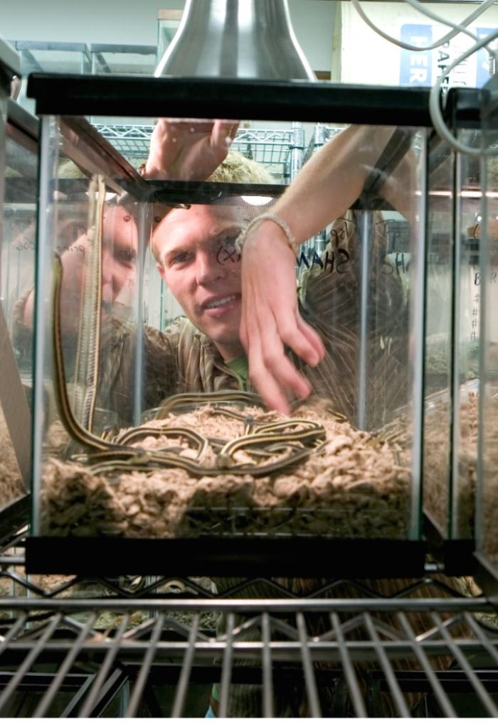 Mason Web handling snake in tank