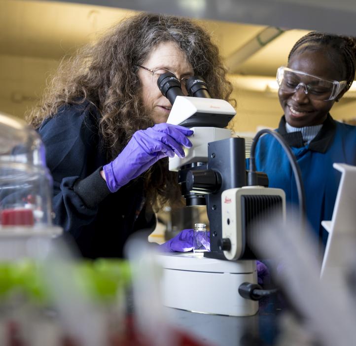 Two women in a laboratory look at a microscope.